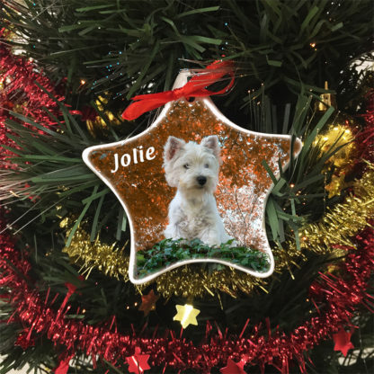 Pallina Stella Natale Cane Foto